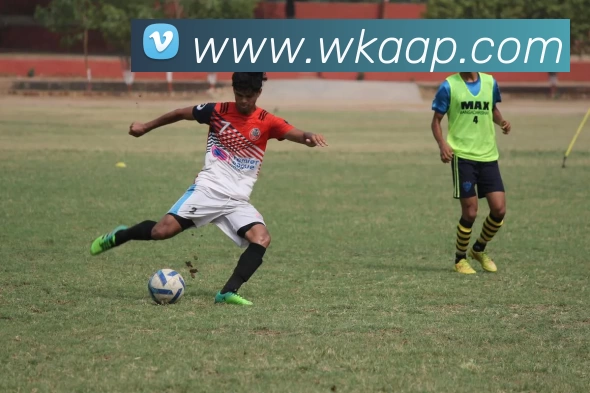 悟空体育APP发展历程